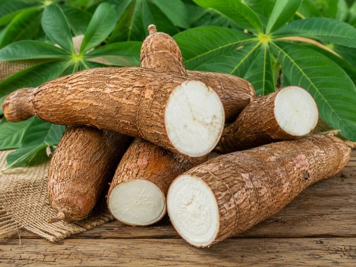 Manioc frais